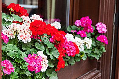 国产ARPG《苍龙城》新实机演示 画面玩法展示